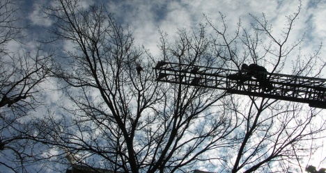 photo by Thryn J Albin