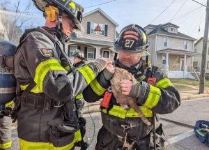 photo by Baltimore City Fire Department