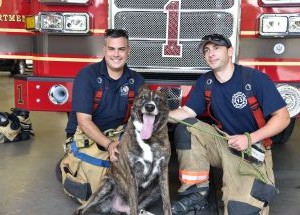 photo by Baltimore County Fire Department