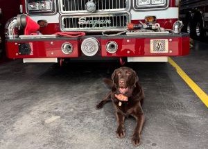 photo by Bladensburg Volunteer Fire Department