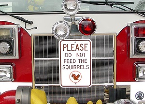 photo by Michael Laven