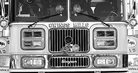 photo by David Starling