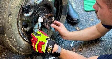 photo by Williamsport Volunteer Fire EMS